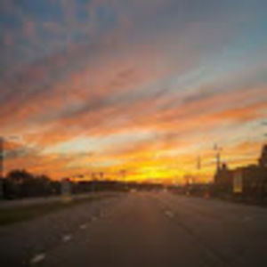 Meet your Posher, Rosalie